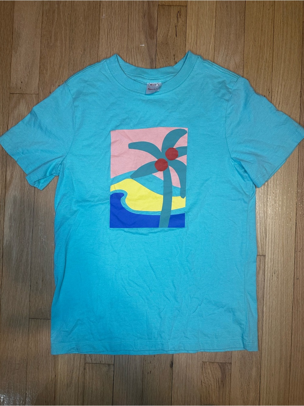Hanna Andersson Size: 10 Turquoise Graphic Palm Tree Tee